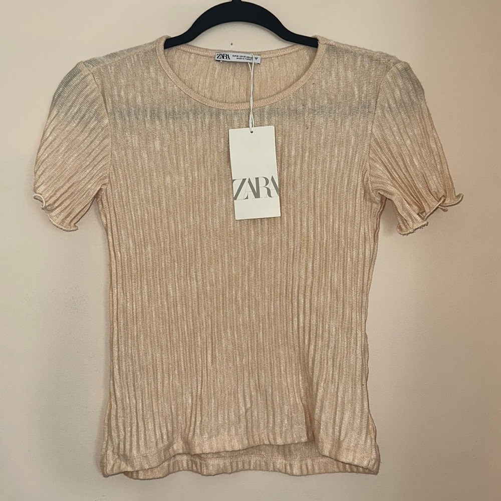 Zara Crop Top NWT Sheer w/ Ruffled Sleeves